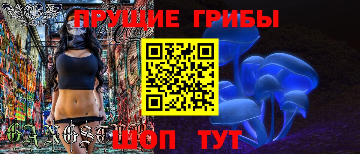 Псилоцибиновые грибы Psilocybe Северобайкальск