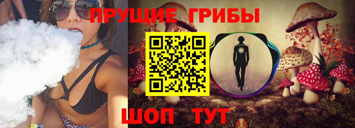 Галлюциногенные грибы MAGIC MUSHROOMS  продажа наркотиков  Северобайкальск  Вход с VPN 